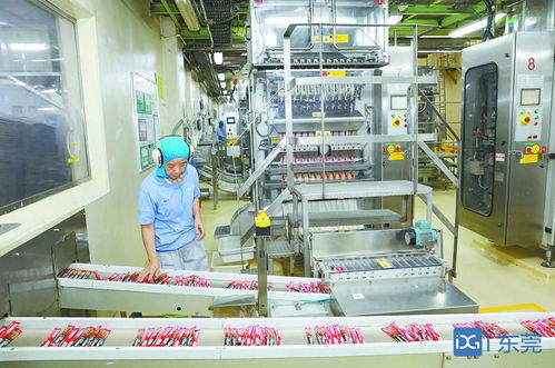 聚焦粤欧交流会② 计算机系统服务领域，欧洲企业在莞投资不断加码，投资东莞正当其时