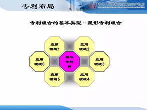 企业知识产权战略规划与管理培训精品课件分享 二 计算机系统服务